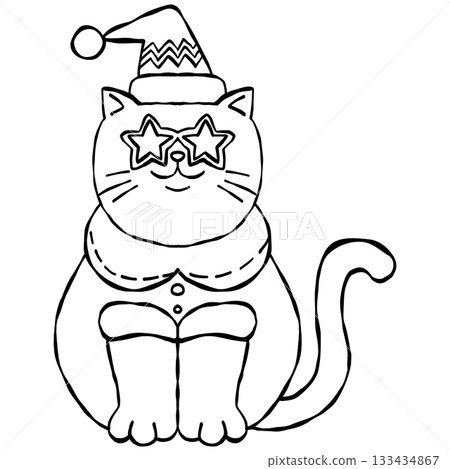 christmas Festive cat with sunglasses and Santa hat in a playful design. 133434867