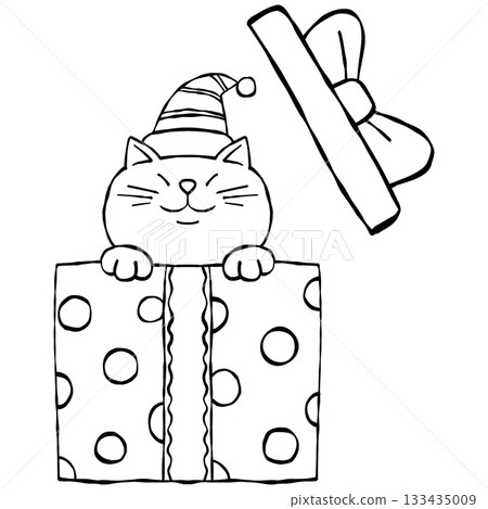 christmas A cat in a gift box wearing a Santa hat smiles happily. christmas A cat in a gift box wearing a Santa hat smiles happily. 133435009