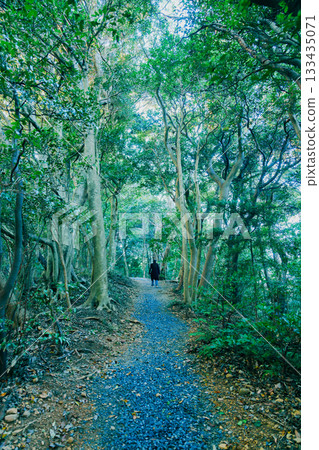 The Miracle Window of Isenami Shrine The Miracle Window of Isenami Shrine 133435071