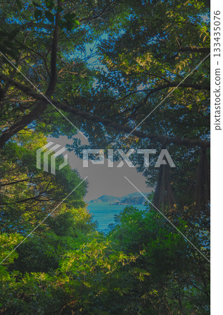 伊勢波神社的奇蹟之窗 133435076