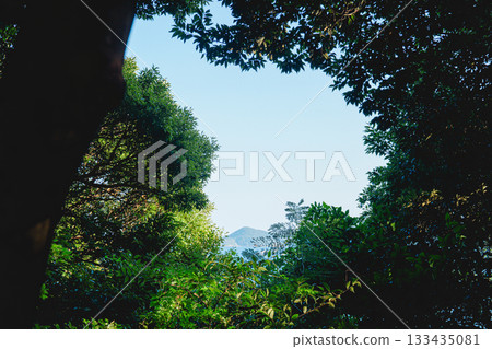 伊勢波神社的奇蹟之窗 伊勢波神社的奇蹟之窗 133435081