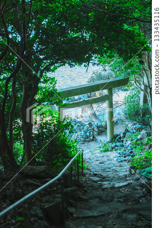 伊勢波神社的奇蹟之窗 133435116