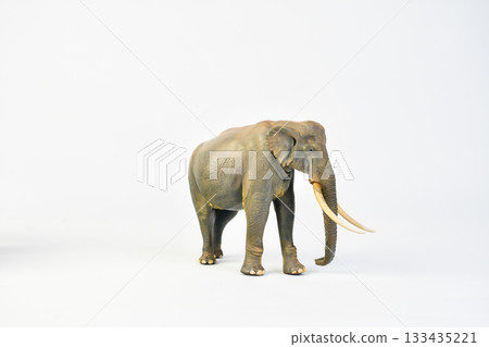 Stegodon animal on isolated background 133435221