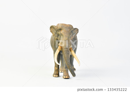 Stegodon animal on isolated background Stegodon animal on isolated background 133435222