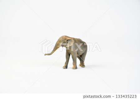 Stegodon animal on isolated background 133435223
