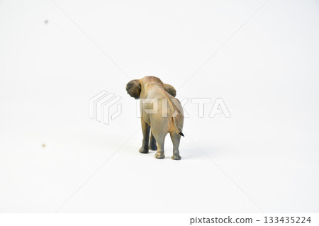 Stegodon animal on isolated background 133435224