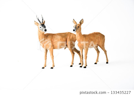 Roe Deer animal on isolated background 133435227