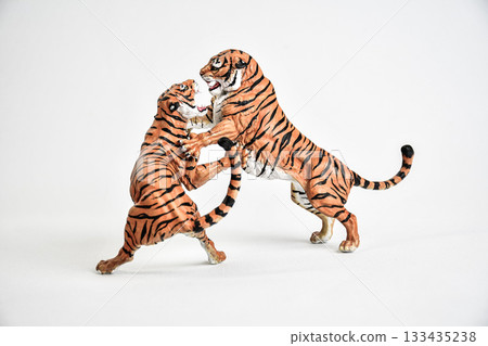 tiger animal on isolated background 133435238