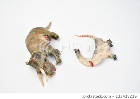 Dinosaur remains animal on isolated background 133435239