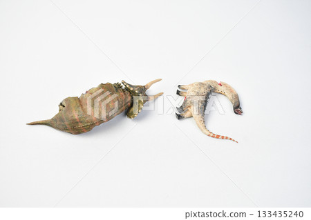 Dinosaur remains animal on isolated background 133435240