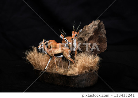 Thomson's gazelle animal on isolated background 133435241