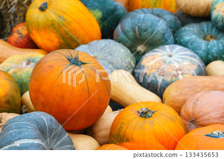 Stack, pile of colorful autumn pumpkins of various shapes and sizes, seasonal harvest background Stack, pile of colorful autumn pumpkins of various shapes and sizes, seasonal harvest background 133435653