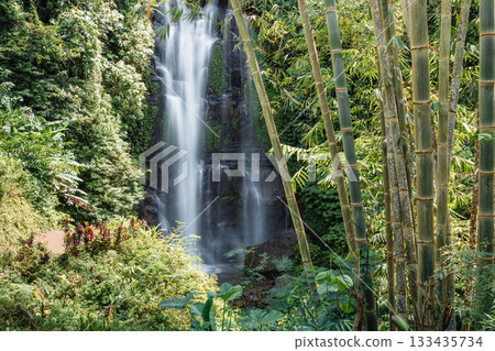 Tropical waterfall hidden in jungle with bamboo, serene natural paradise in. Bali. 133435734