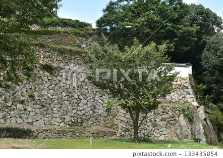 Binaka Matsuyama Castle的石垣 Binaka Matsuyama Castle的石垣 133435854