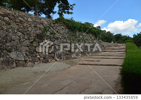 Binaka Matsuyama Castle的石垣 Binaka Matsuyama Castle的石垣 133435859