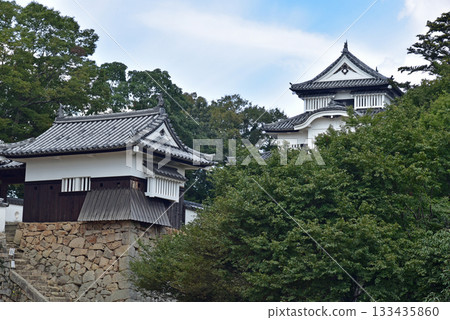 Binaka Matsuyama Castle的石垣 133435860