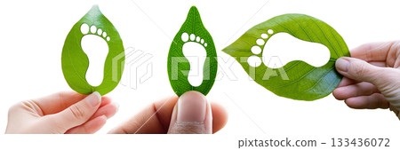 Human Hand Holding a Green Leaf with a Footprint Isolated on Transparent - Generative Ai 133436072