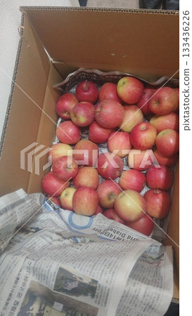 Translation arise 133436226