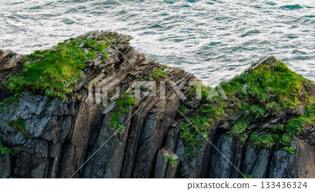 Jagged black rocks form a cliffside with grass and small plants growing on the rock. The ocean extends behind the rocks in County Kerry, Ireland. Waves are visible in the water. Jagged black rocks form a cliffside with grass and small plants growing on the rock. The ocean extends behind the rocks in County Kerry, Ireland. Waves are visible in the water. 133436324