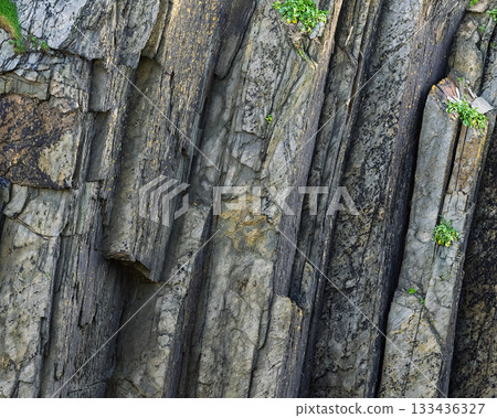 Basalt columns create an interesting geological rock formation. Small green plants find refuge and sprout along cracks and crevices. Rock shows grey and brown hues. Basalt columns create an interesting geological rock formation. Small green plants find refuge and sprout along cracks and crevices. Rock shows grey and brown hues. 133436327