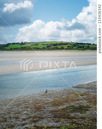 Tranquil scene of a river winding through a sandy landscape, leading to green fields beneath a sky with dramatic clouds. A single bird is visible. Tranquil scene of a river winding through a sandy landscape, leading to green fields beneath a sky with dramatic clouds. A single bird is visible. 133436342
