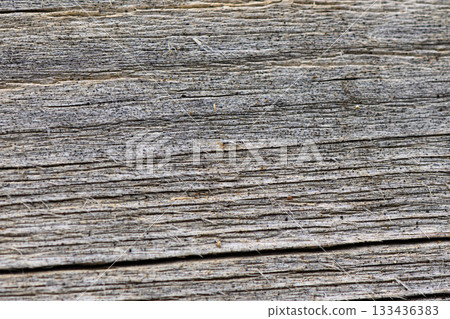 Weathered wooden texture reveals intricate patterns and stories of nature over time under soft 133436383
