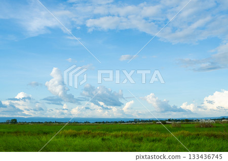 Beautiful summer landscape with blue sky, white clouds, and a green grass meadow Beautiful summer landscape with blue sky, white clouds, and a green grass meadow 133436745