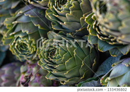 Artful arrangement of vibrant artichokes basking in soft natural light on a sunny afternoon 133436802