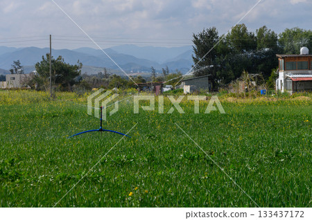 Sprinkler watering lush green field under cloudy sky in rural landscape far from the bustling city Sprinkler watering lush green field under cloudy sky in rural landscape far from the bustling city 133437172