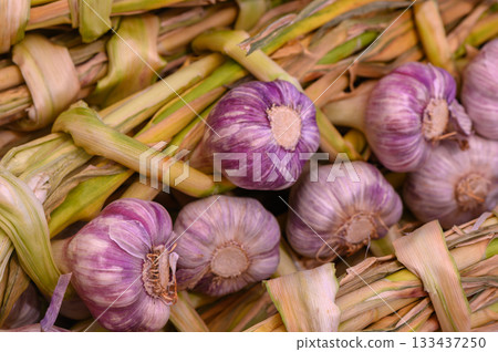 Vibrant garlic bulbs tied with natural fibers, showcasing fresh produce in a rustic market setting during harvest season 133437250