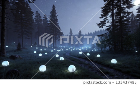Bright orbs illuminate a misty forest at night, creating a magical atmosphere under a starry sky 133437483