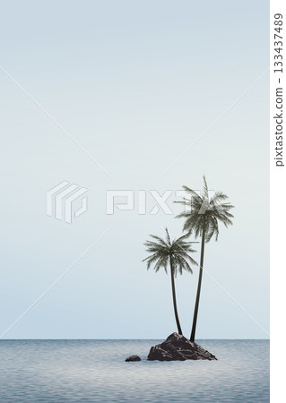 Silhouette of coconut palm trees on the rock in the tropical blue sea with blue sky background graphic illustration. 133437489