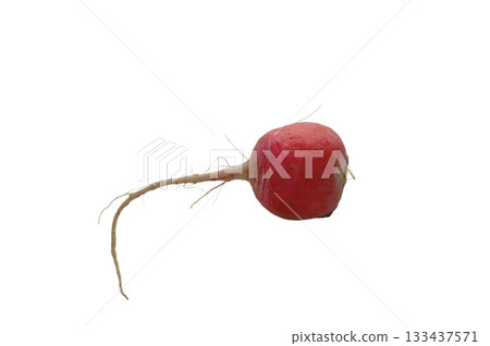 Red radish without greens isolated on white Red radish without greens isolated on white 133437571