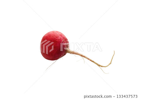Fresh red radish bulbs on white background Fresh red radish bulbs on white background 133437573