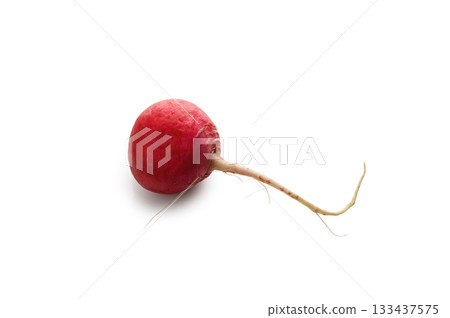 Fresh red radish without tops on white background Fresh red radish without tops on white background 133437575