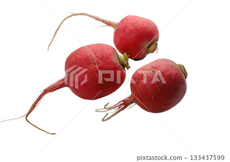 Three fresh red radishes isolated on white 133437599