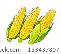 手繪玉米插圖 133437807