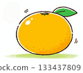 手繪的橘子插圖 133437809