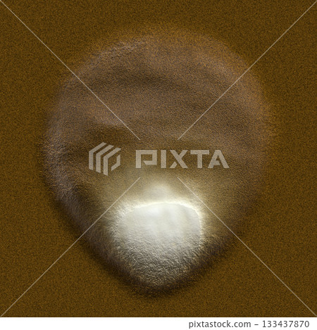 Single scallop shell rests under the summer sun on light-colored sand, viewed from above. 133437870