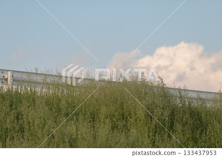 從河岸看到的雲 133437953