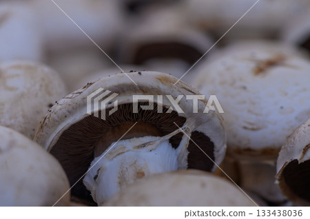 Freshly harvested mushrooms piled together, showcasing their unique textures and earthy tones 133438036