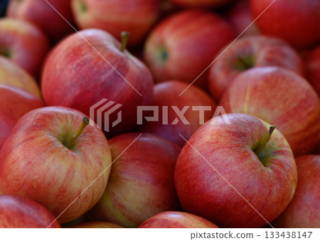 Freshly harvested apples piled high at a vibrant farmers market during a sunny autumn morning in a quaint countryside town Freshly harvested apples piled high at a vibrant farmers market during a sunny autumn morning in a quaint countryside town 133438147