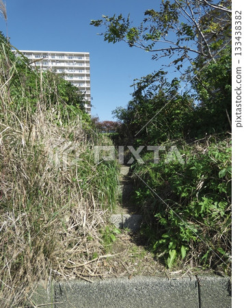 Under the blue sky, narrow stone steps on a bank overgrown with weeds and a high-rise apartment building 133438382