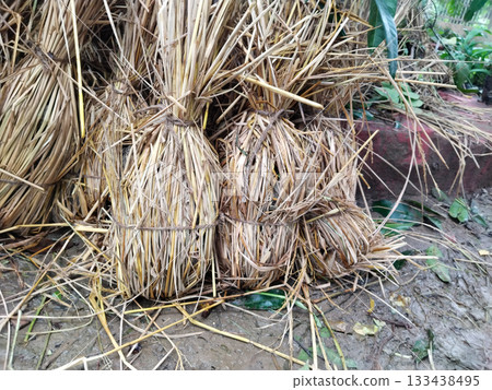 Eco friendly husk bag for planting 133438495