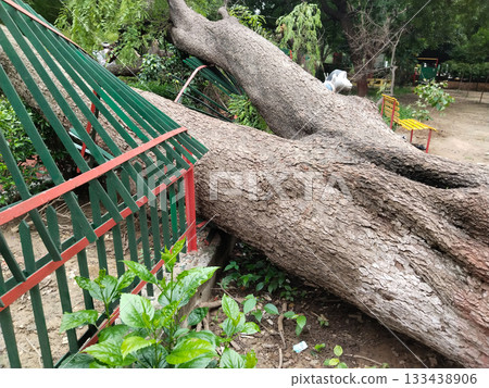 Fallen tree crushing metal fence in park, major storm or decay damage with visible distortion, playground and benches in background, need for repair Fallen tree crushing metal fence in park, major storm or decay damage with visible distortion, playground and benches in background, need for repair 133438906