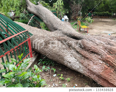 Fallen tree crushing metal fence in park, major storm or decay damage with visible distortion, playground and benches in background, need for repair Fallen tree crushing metal fence in park, major storm or decay damage with visible distortion, playground and benches in background, need for repair 133438928