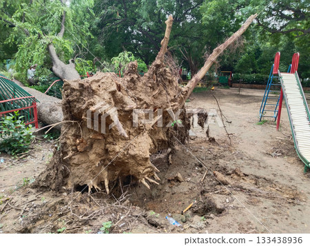 Uprooted tree with exposed roots and fallen trunk damaging park fence, reddish bark, natural disaster impact in garden setting with greenery and outdoor environment Uprooted tree with exposed roots and fallen trunk damaging park fence, reddish bark, natural disaster impact in garden setting with greenery and outdoor environment 133438936