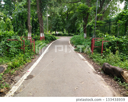 Curved paved walkway in lush green park bordered by painted tree trunks, dense foliage, and red metal railings, tranquil garden path ideal for walking, jogging, nature photography, leisure and urban Curved paved walkway in lush green park bordered by painted tree trunks, dense foliage, and red metal railings, tranquil garden path ideal for walking, jogging, nature photography, leisure and urban 133438939