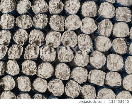 Nursery soil bags arranged for planting in farm, empty polybags filled with growing medium, agricultural preparation for sapling propagation, garden nursery setup with organized soil containers 133438940