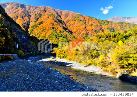 Kusashio Bridge / View upstream from Hayakawa River (Hayakawa Town, Yamanashi Prefecture) [November 2025] 133439034